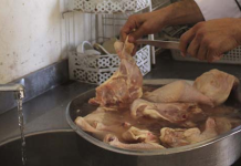 Lavar carne de frango pode causar graves riscos de contaminação