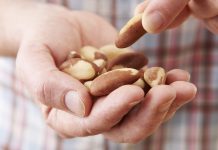 Ingira 4 castanhas-do-Pará mensalmente e baixe significativamente os níveis do seu colesterol