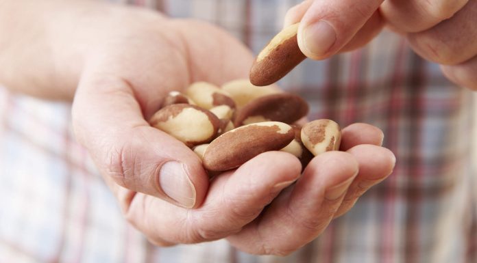 Ingira 4 castanhas-do-Pará mensalmente e baixe significativamente os níveis do seu colesterol