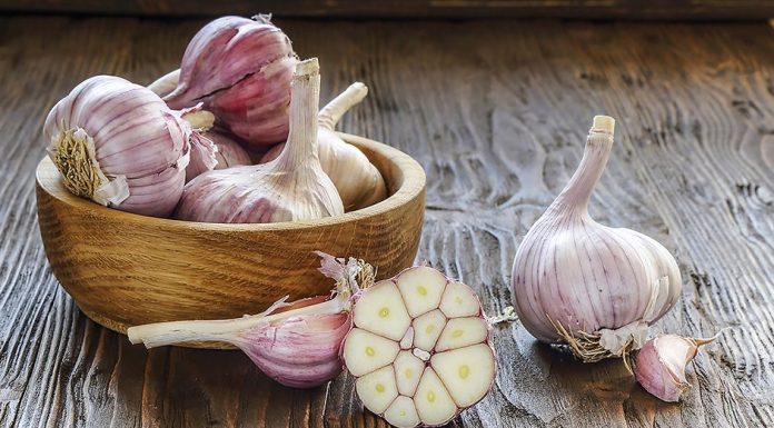 Conheça os benefícios que o alho proporciona para a sua saúde