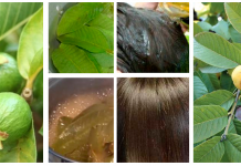 Acabe com a queda de cabelo seguindo uma receita caseira simples e eficaz