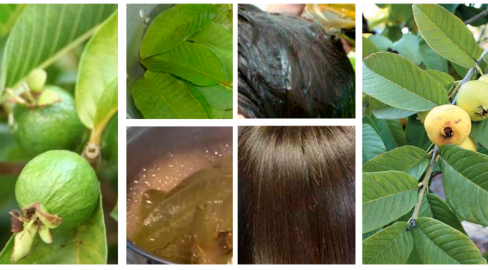 Acabe com a queda de cabelo seguindo uma receita caseira simples e eficaz