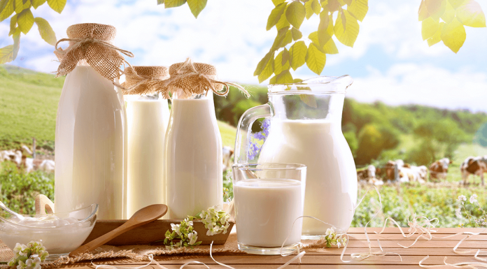 Beba leite fresco pela manhã para prevenir o diabetes