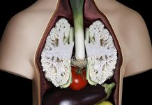 Conheça os benefícios dos alimentos que se parecem com os nossos órgãos