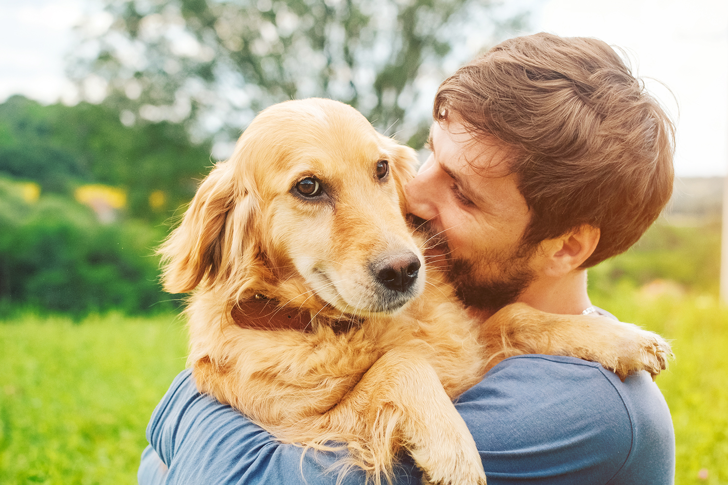 Estudo Conclui Que Amor Entre Dono E C O T O Intenso E Verdadeiro Quanto Entre Uma M E E Um