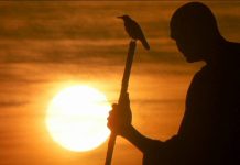 Sinta no seu silêncio o conforto da sabedoria