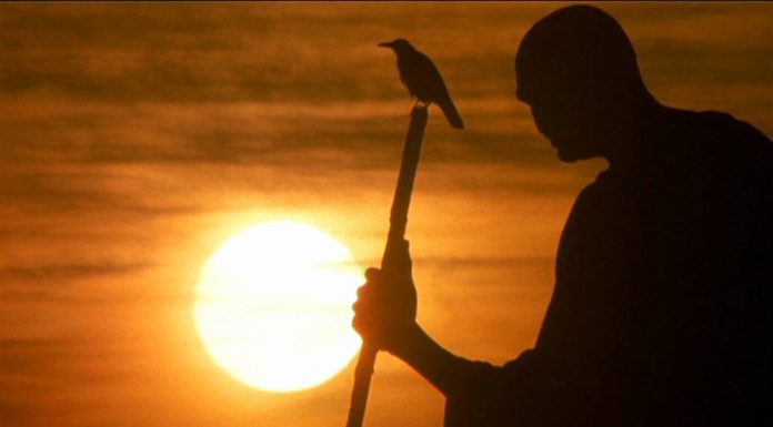 Sinta no seu silêncio o conforto da sabedoria