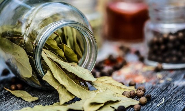 Folhas de louro são ótimas para inflamação e dor lombar