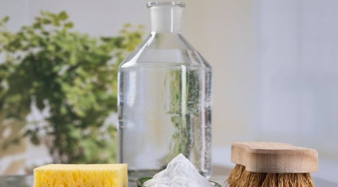 As 1001 utilidades do vinagre branco nas atividades domésticas