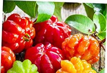 Valores nutricionais e benefícios para a saúde da famosa pitanga