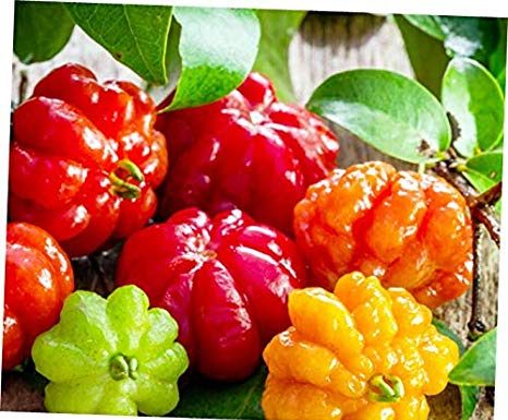 Valores nutricionais e benefícios para a saúde da famosa pitanga