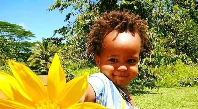 Ensinar uma criança a dizer “Por favor”, “Bom dia”, “Obrigado(a)” é uma tarefa mais importante do que se imagina.