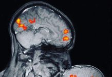 Exame mostra a ligação entre mãe e filho pela primeira vez no mundo