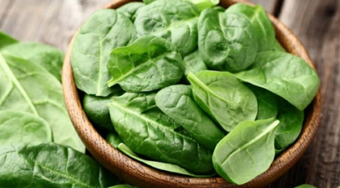 Espinafre combate a queda de cabelo