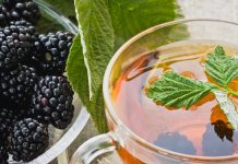 Chá de amoreira é um ótimo repositor hormonal para menopausa.