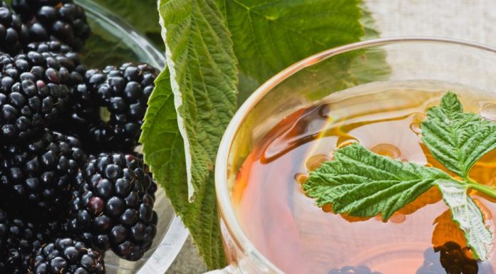 Chá de amoreira é um ótimo repositor hormonal para menopausa.