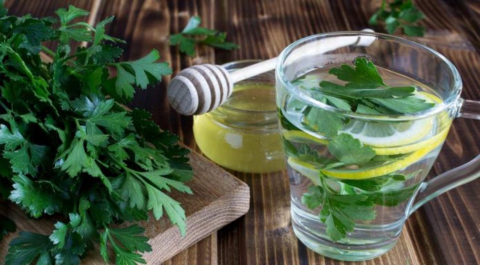 A receita com salsa pode curar rins e fígado doente.