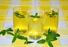 A Camellia sinensis : O verdadeiro chá da Índia