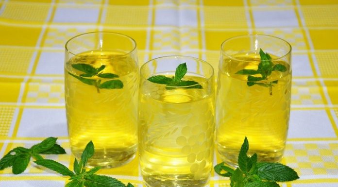 A Camellia sinensis : O verdadeiro chá da Índia