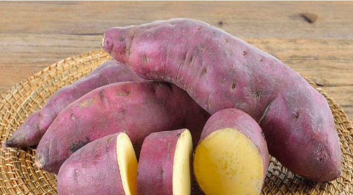 A batata-doce é a solução para o fim da gastrite, refluxo, azia, e até mesmo úlceras!