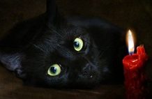 Pouca energia, doença e conflito em casa? Veja como se livrar de tudo que é negativo na vida!