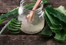 “Planta da imortalidade”, é como foi reconhecida