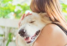 Fazer carinho em animais melhora nosso humor.