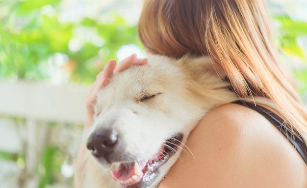 Fazer carinho em animais melhora nosso humor.