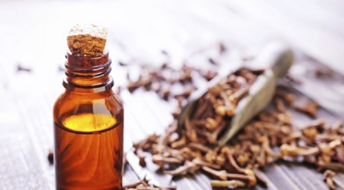 Conheça o cravo -da- índia e descubra seus benefícios: