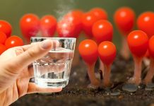 Um copo de água quente pela manhã pode prolongar e rejuvenescer a vida em 10 anos!