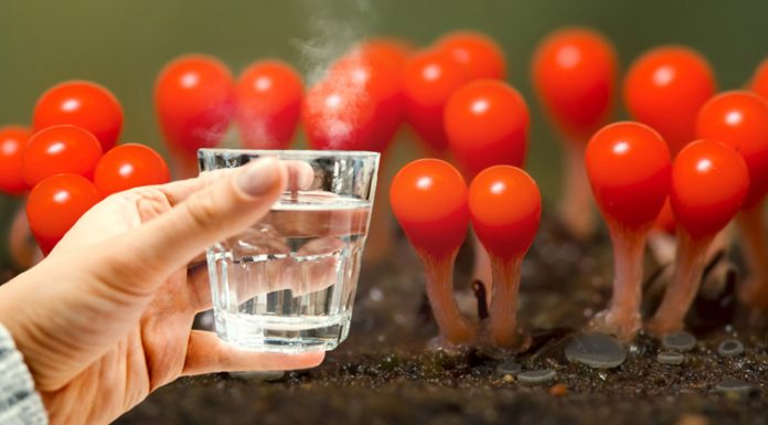 Um copo de água quente pela manhã pode prolongar e rejuvenescer a vida em 10 anos!