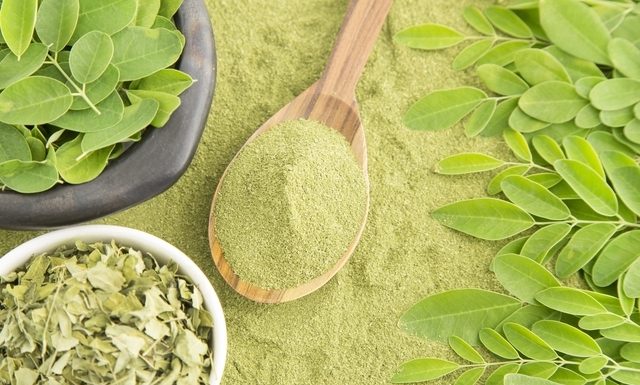 Os inúmeros Benefícios da moringa para a saúde
