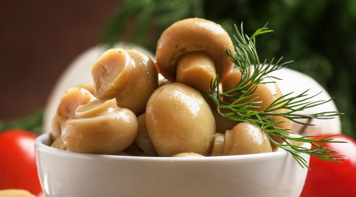 Cogumelos, comida de ouro: protege o cérebro e evita a demência senil.