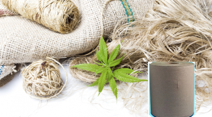 Papel higiênico de cânhamo pode economizar milhões de árvores todos os anos.