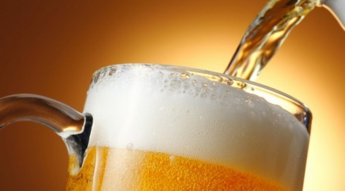 Beber cerveja protege o cérebro contra a doença de Alzheimer.