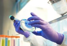 “Sem querer”, cientistas descobrem uma cura potencial contra o câncer.