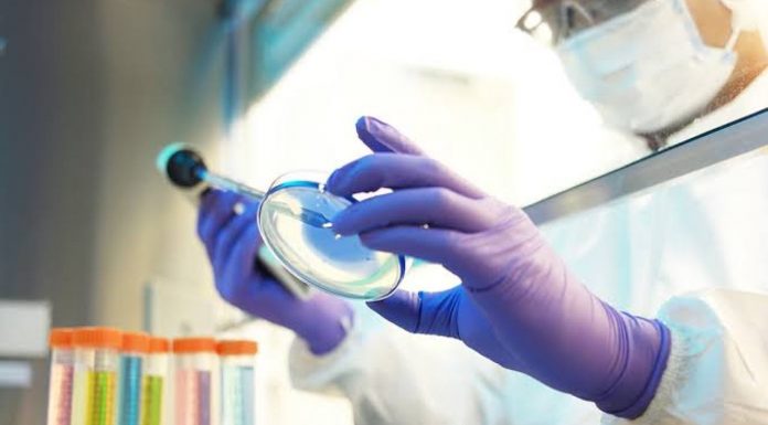 “Sem querer”, cientistas descobrem uma cura potencial contra o câncer.