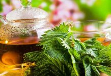 Se você beber xarope de urtiga, terá sangue saudável e purificado.