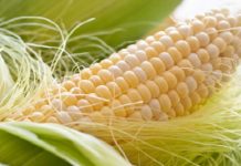 9 benefícios do cabelo de milho que você provavelmente não conhecia.