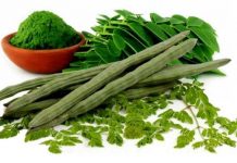 Moringa considerada um super alimento: 10 benefícios e como consumi-lo.