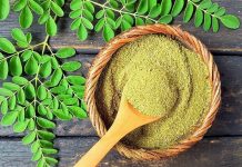 Folha de moringa ótima para os olhos, pele limpa, curar diabetes e evitar câncer.