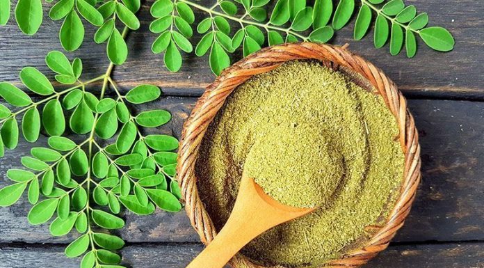 Folha de moringa ótima para os olhos, pele limpa, curar diabetes e evitar câncer.