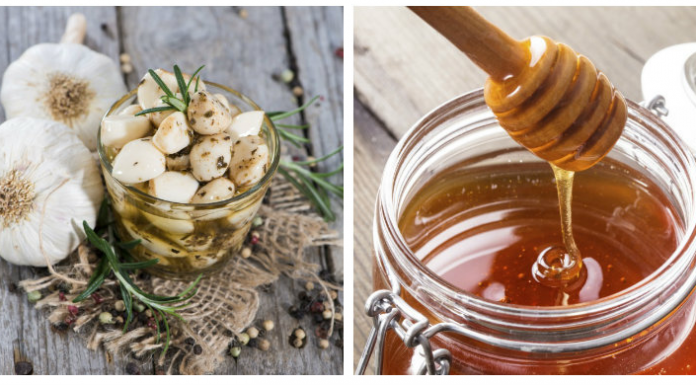 Mel e alho: apenas 1 colher de sopa em jejum fortalecerá os vasos sanguíneos e melhorará a circulação!