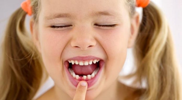 Salve os ‘dentes de leite’ do seu filho, eles são uma mina de células-tronco.