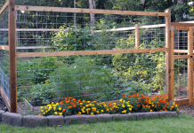 6 Dicas para criar uma cerca de jardim à prova de animais.