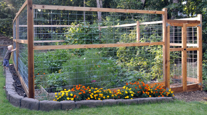 6 Dicas para criar uma cerca de jardim à prova de animais.