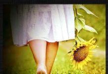 Quem está ausente muito em breve deixa de ser necessário.