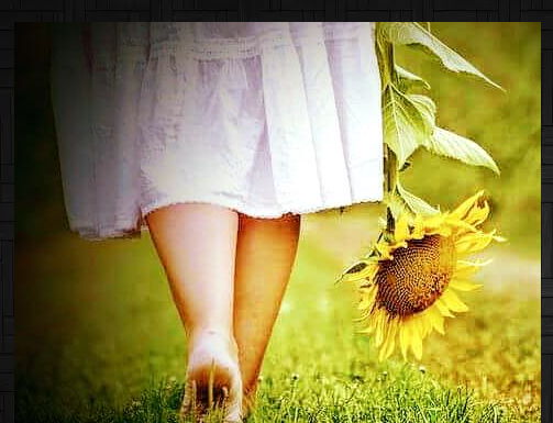 Quem está ausente muito em breve deixa de ser necessário.