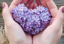 Que todas as coisas boas te sigam, te encontrem, te abracem e fiquem com você.