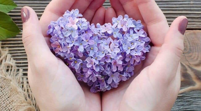 Que todas as coisas boas te sigam, te encontrem, te abracem e fiquem com você.